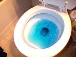 urine bleue bleu de méthylène